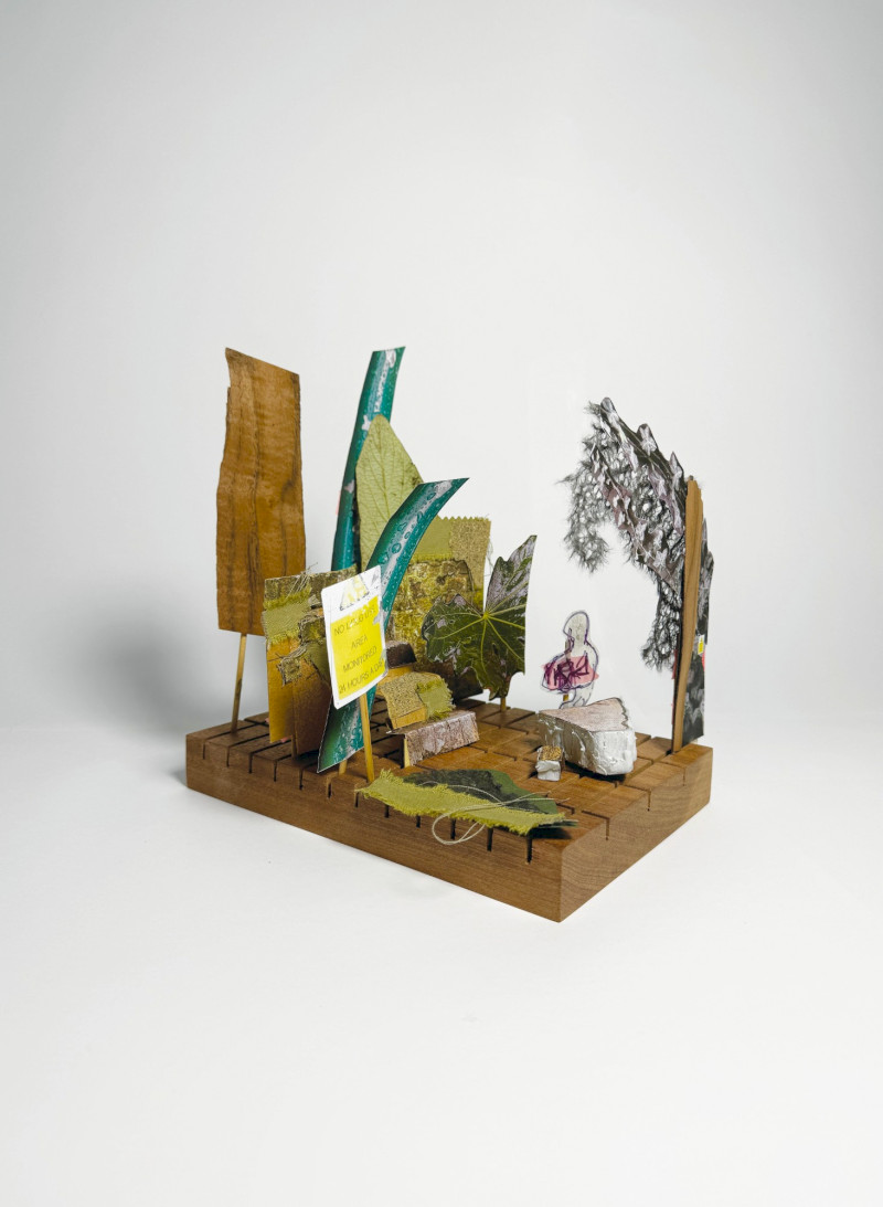 SJJ x ACCELERATE! 2024